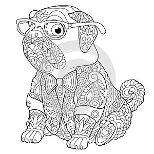 Zentangle pug dog coloring page photo