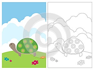 Coloring page book - turtle