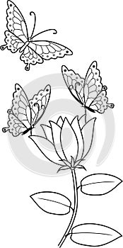 Coloring page. Butterflies on flower