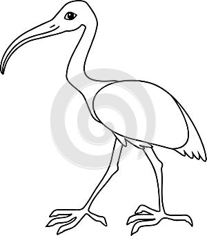 Coloring page. Cartoon African sacred ibis