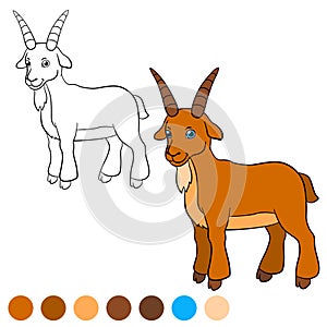 Coloring page. Color me: goat. Billy goat. photo