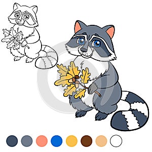 Coloring page. Color me: raccoon.