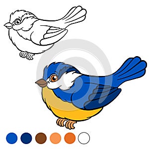 Coloring page. Color me: titmouse.