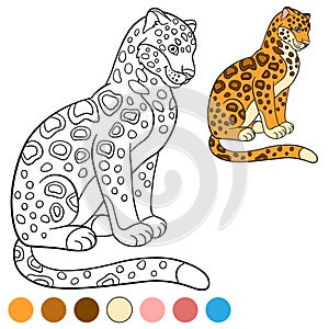 Coloring page with colors. Cute jaguar smiles.