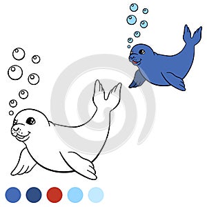 Coloring page with colors. Little cute baby seal swims.