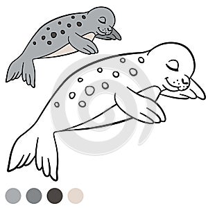 Coloring page with colors. Little cute spotted baby seal.