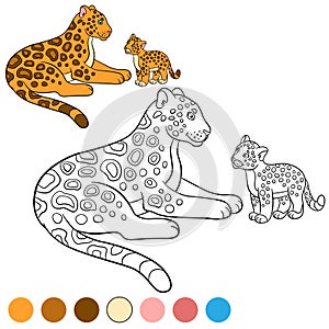 Coloring page with colors. Mother jaguar with her cub.