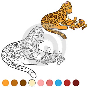Coloring page with colors. Mother jaguar with her cub.