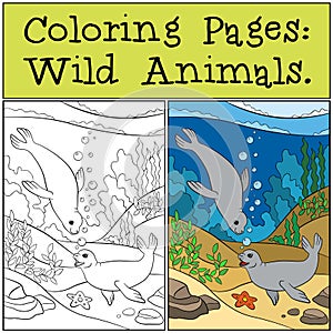 Coloring page with example. Two little cute seals.