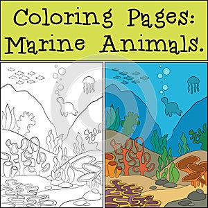 Coloring Page with example. Underwater landscape. At the bottom there are stones and various algae grow. Fish and other marine