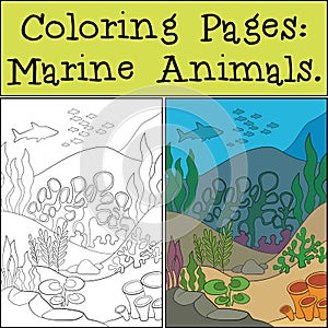 Coloring Page with example. Underwater landscape. At the bottom there are stones and various algae grow. Fish and other marine