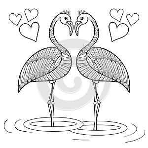 Coloring page with Flamingo birds in love, zentangle hand drawing illustartion tribal totem bird for adult Coloring books or