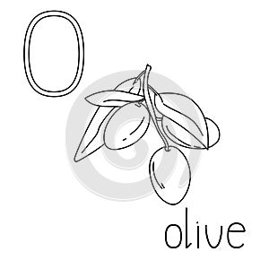 Coloring page fruit and vegetable ABC, Letter O - olive, educated coloring card