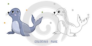 Coloring page of fur seal
