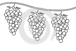 Coloring Page of Grape Bunches on a Vine a Dream of the Cupbearer in the Story of Jospeh