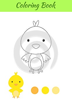 Coloring page happy little baby chicken. Printable coloring book for kids. Educational activity for kindergarten and preschool