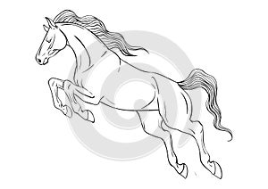 Coloring page with horse