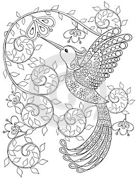 Coloring page with Hummingbird, zentangle flying bird for adult