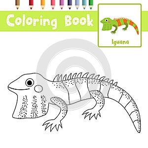 Coloring page Iguana animal cartoon character vector illustration