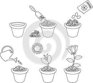 Coloring page. Instructions on how to plant flower in six easy steps. Step by step