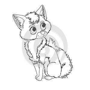 Coloring page for kids with funny sitting fox with big tail. 