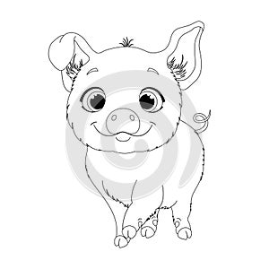 Coloring page for kids with little pig.