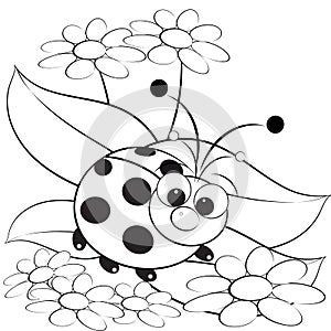 Coloring page - Ladybug and daisy