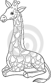 Coloring page. Little cute baby giraffe with long neck lays and smiles