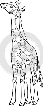 Coloring page. Little cute baby giraffe with long neck stands and smiles