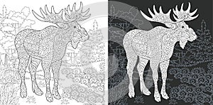 Coloring page with moose photo