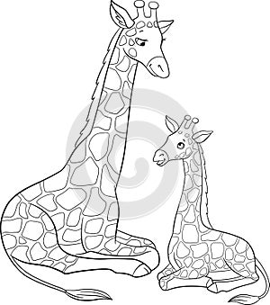 Coloring page. Mother giraffe with long neck lays with her little cute baby and smiles