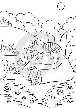 Coloring pages. Mother numbat with her little babies photo