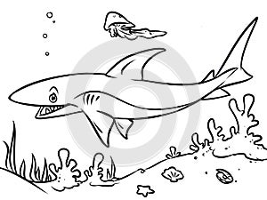 Coloring page ocean shark contour illustration