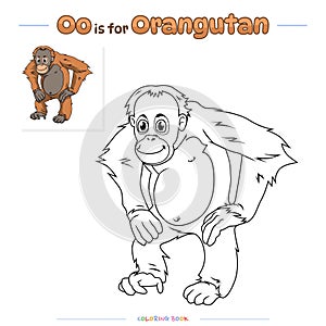 Coloring Page Orangutan