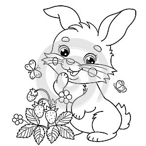 Coloring Page Outline Of cartoon cute bunny or rabbit with strawberries and butterflies. Coloring Book for kids