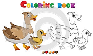 Coloring Page Outline of cartoon duck with duckling. Farm animals. Coloring book for kids