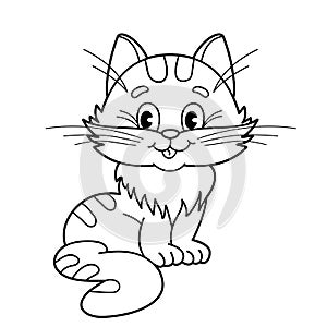 Coloring Page Outline Of cartoon fluffy cat. Coloring book for kids photo