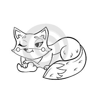Coloring page outline of cartoon fox. Vector image isolated on white background. Coloring book of forest wild animals for kids