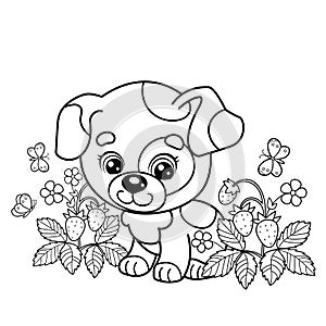 Coloring Page Outline Of cartoon little dog on strawberry clearing. Cute puppy with butterfly. Pet. Coloring book for kids