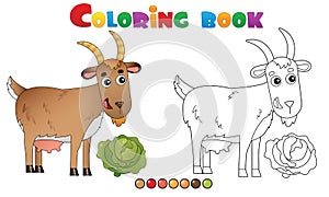 Coloring Page Outline of cartoon nanny goat. Farm animals. Coloring book for kids