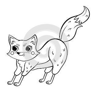 Coloring page outline of cute cartoon fox. Vector image isolated on white background. Coloring book of forest wild animals for