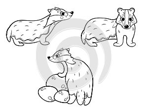Coloring page outline of cute cartoon wild badger or brock. Badger in different postures. Coloring book of forest animals for kids photo