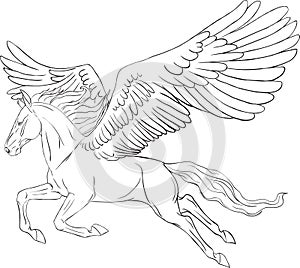 Coloring page with a Pegasus