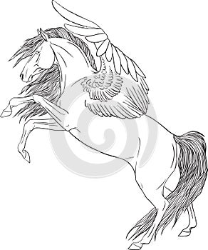 Coloring page with a Pegasus