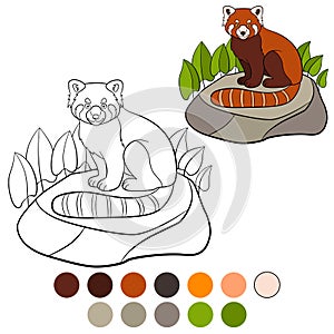 Coloring page: red panda. Little cute red panda smiles