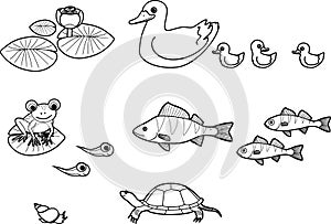 Coloring page with set of pond cartoon inhabitants: duck with ducklings, frog and tadpoles, fishes, turtle,