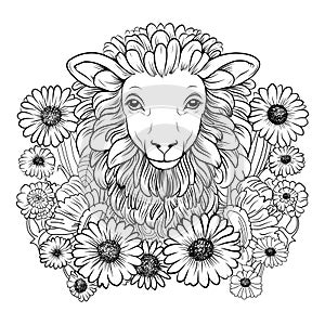 COLORING PAGE sheep. Sheep cute funny character linear illustration childrens for coloring. Sheep farm