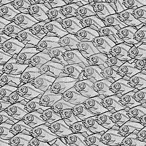 Coloring page of shoal of fish.
