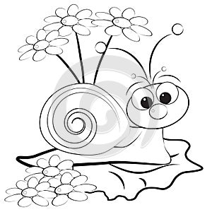 Coloring page - Snail and daisy