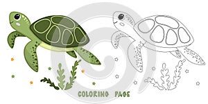 Coloring page of turtle